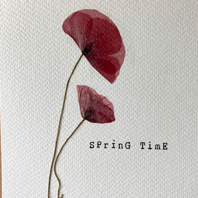  Springtime coquelicot 