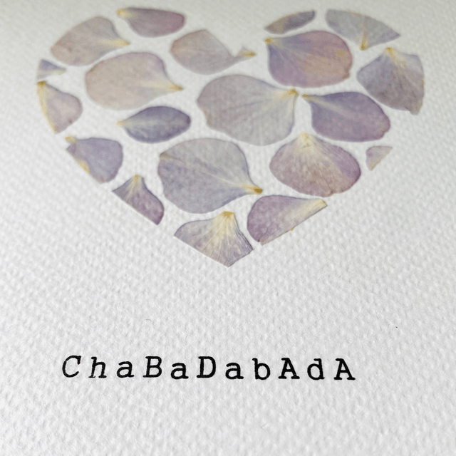 Chabadabada mauve