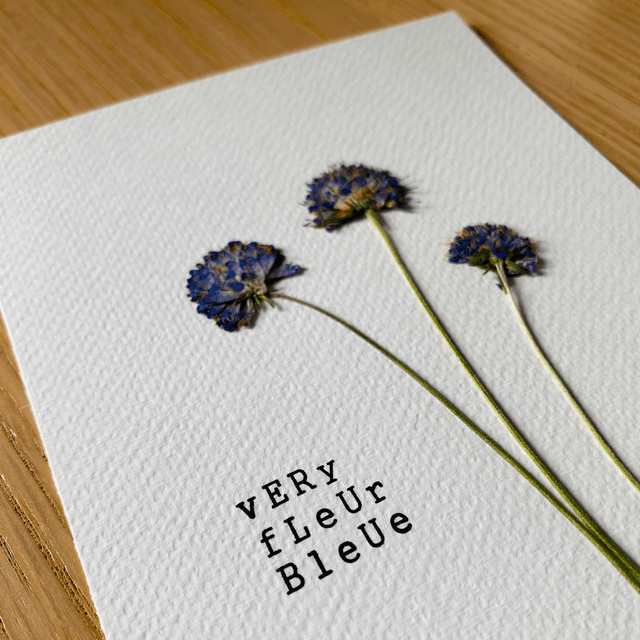 Very fleur bleue