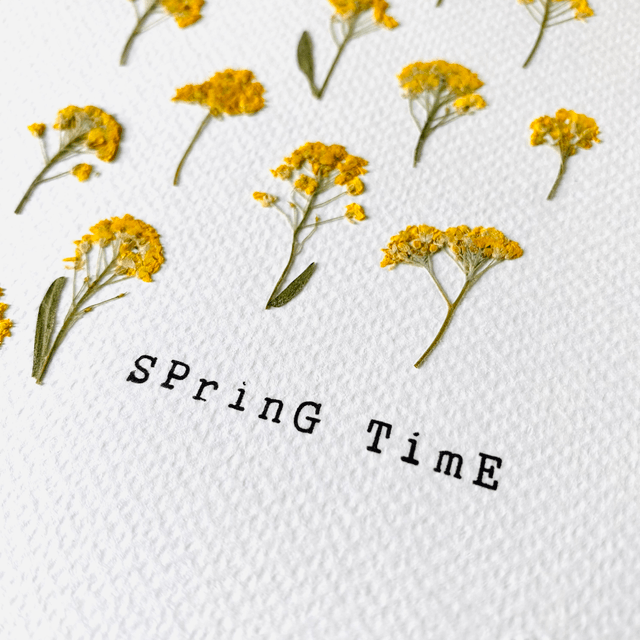 Springtime jaune