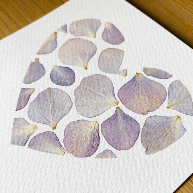 Chabadabada mauve