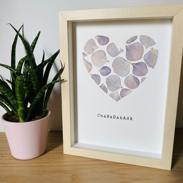 Chabadabada mauve