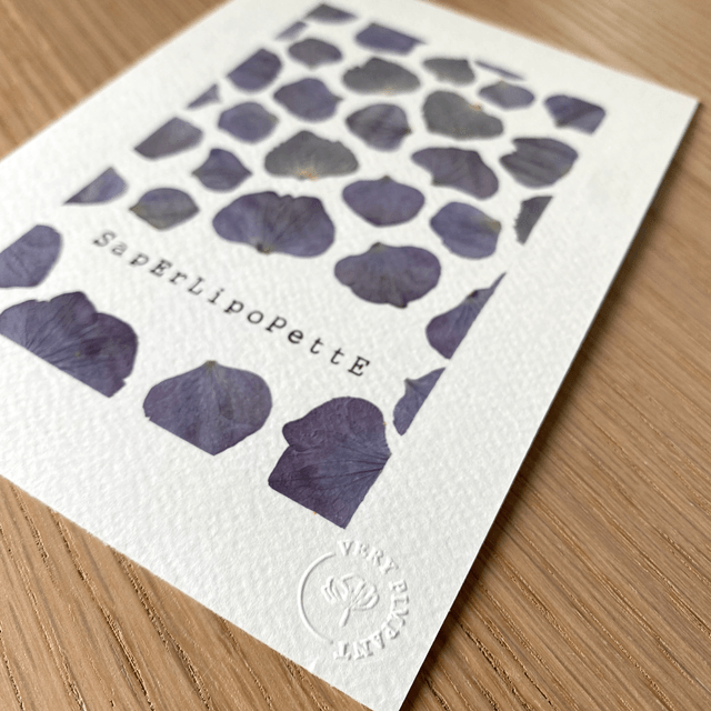 Saperlipopette bleu