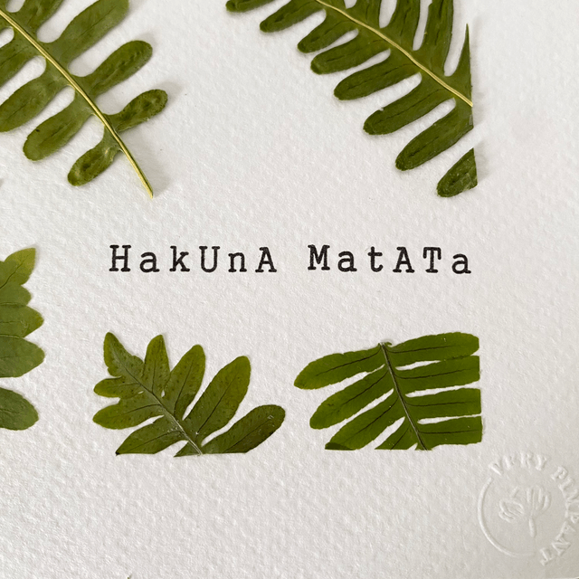 Hakuna Matata vert