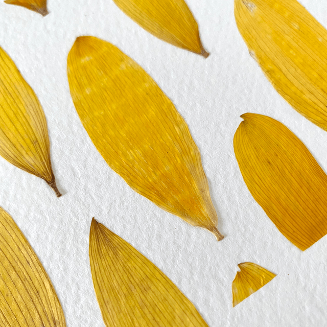 Yellow poupoupidou 