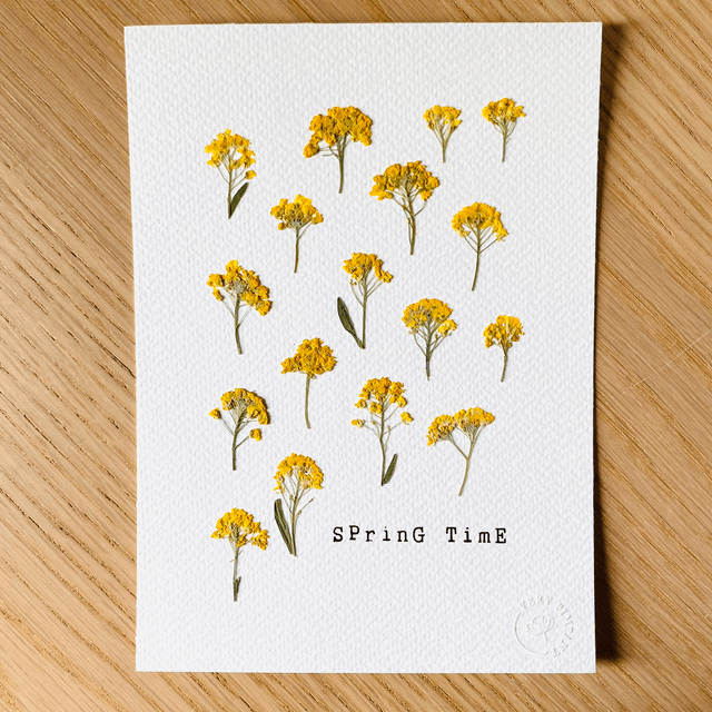 Springtime jaune