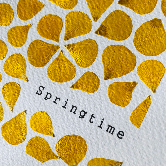 Springtime bouton d’or