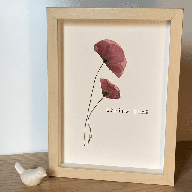  Springtime coquelicot 