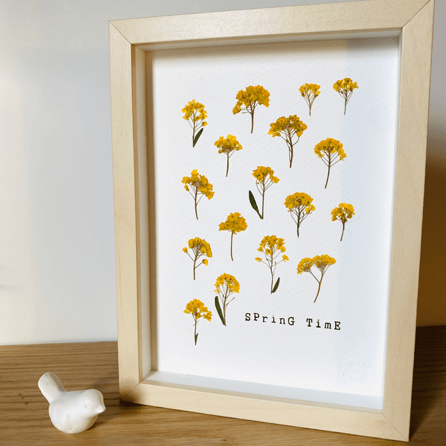 Springtime jaune
